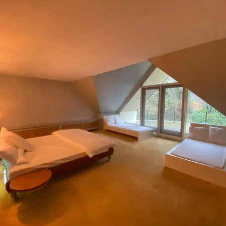 Sjieke Gezellige In Het Bos