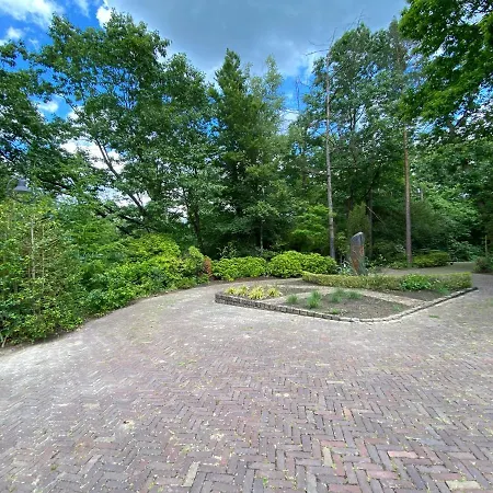 فيلة Sjieke Gezellige In Het Bos *