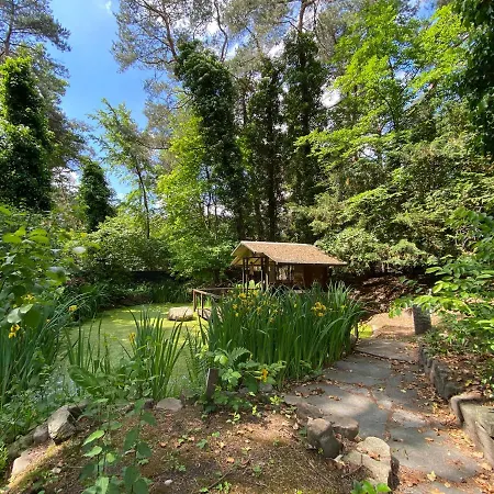 Sjieke Gezellige In Het Bos Villa