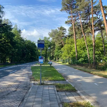 Sjieke Gezellige In Het Bos * Lieshout