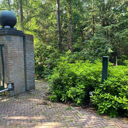 Villa Sjieke Gezellige In Het Bos Lieshout