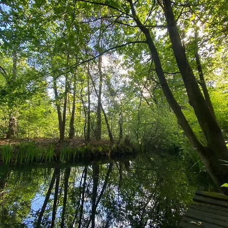 Sjieke Gezellige In Het Bos فيلة Lieshout