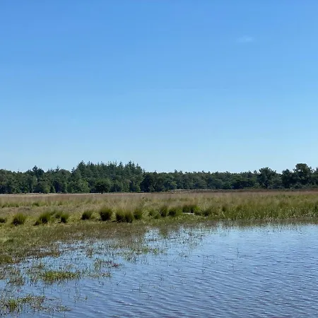 Sjieke Gezellige In Het Bos * Lieshout