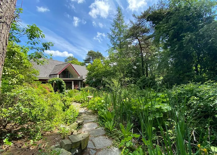 Sjieke Gezellige In Het Bos Villa Lieshout