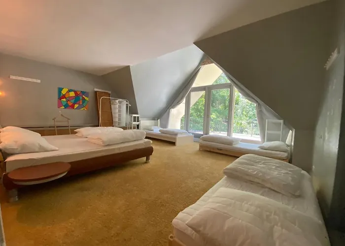 Sjieke Gezellige In Het Bos Lieshout