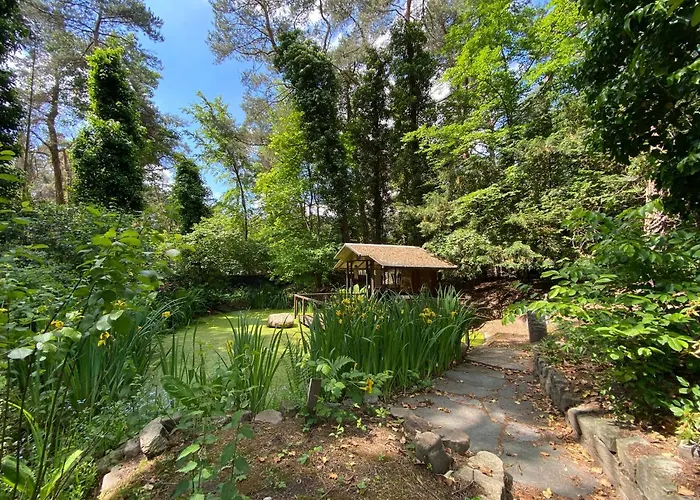 Sjieke Gezellige In Het Bos Villa