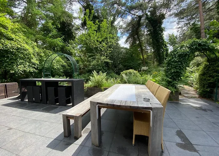 Sjieke Gezellige In Het Bos