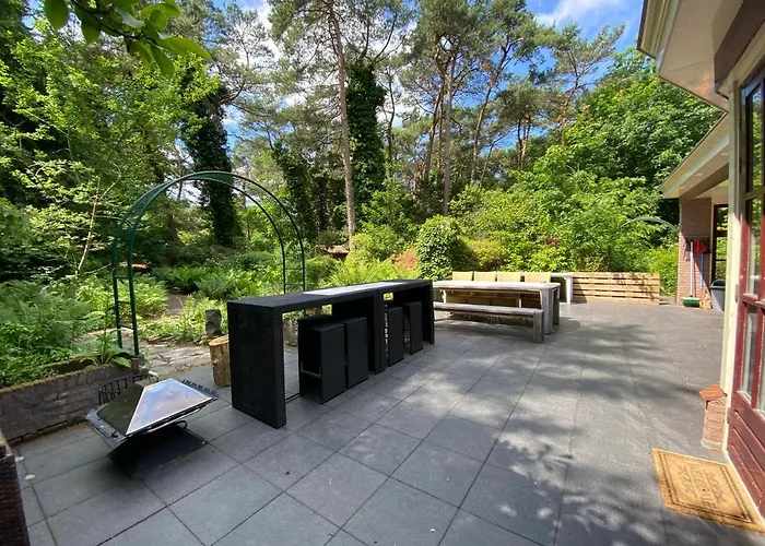 Sjieke Gezellige In Het Bos * Lieshout