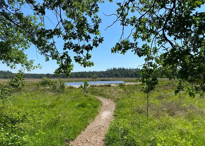 Sjieke Gezellige In Het Bos Lieshout