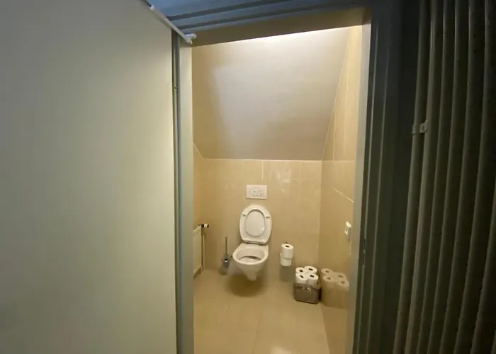 Villa Sjieke Gezellige In Het Bos Lieshout