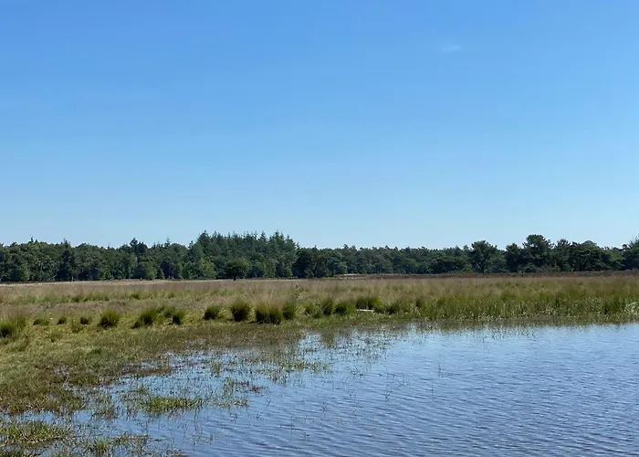 Sjieke Gezellige In Het Bos * Lieshout