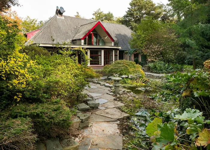 Sjieke Gezellige In Het Bos *