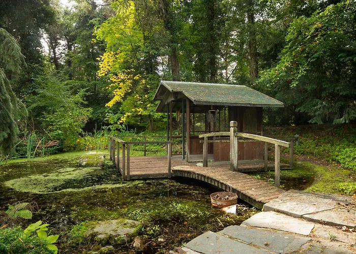 Sjieke Gezellige In Het Bos Villa *