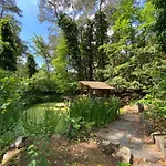 Sjieke Gezellige In Het Bos Villa