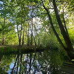 Sjieke Gezellige In Het Bos Villa Lieshout