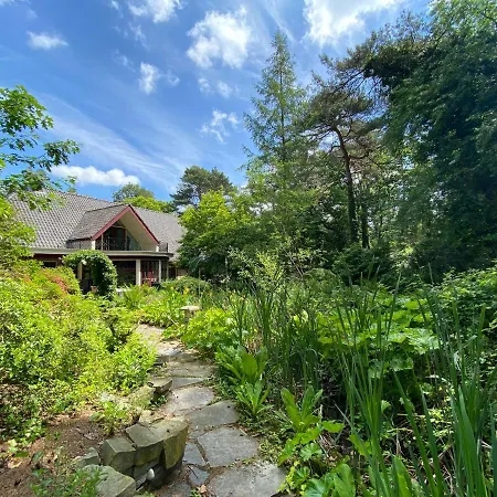 Sjieke Gezellige In Het Bos Villa Lieshout