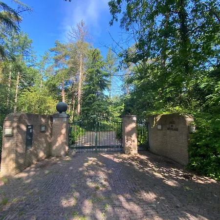 Sjieke Gezellige In Het Bos * Lieshout