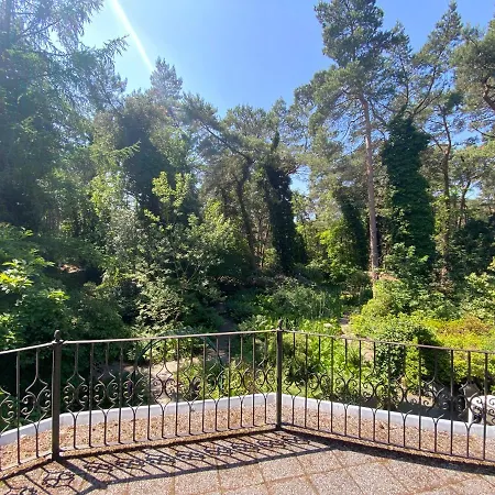 Sjieke Gezellige In Het Bos *