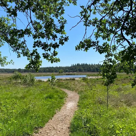 Sjieke Gezellige In Het Bos Lieshout