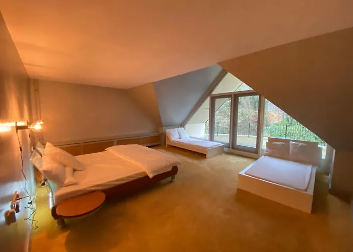 Sjieke Gezellige In Het Bos