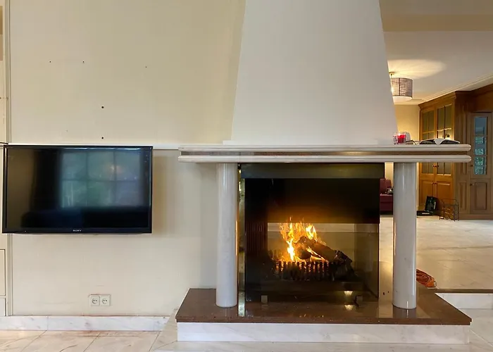 Sjieke Gezellige In Het Bos