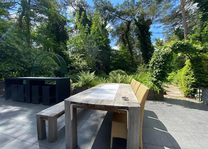 Sjieke Gezellige In Het Bos Lieshout