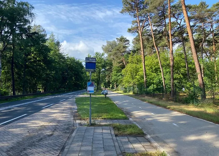 Sjieke Gezellige In Het Bos * Lieshout