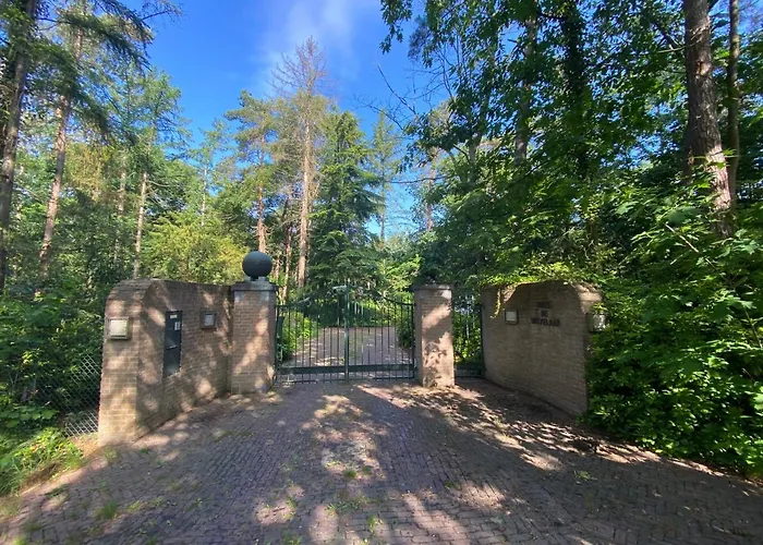 Sjieke Gezellige In Het Bos * Lieshout