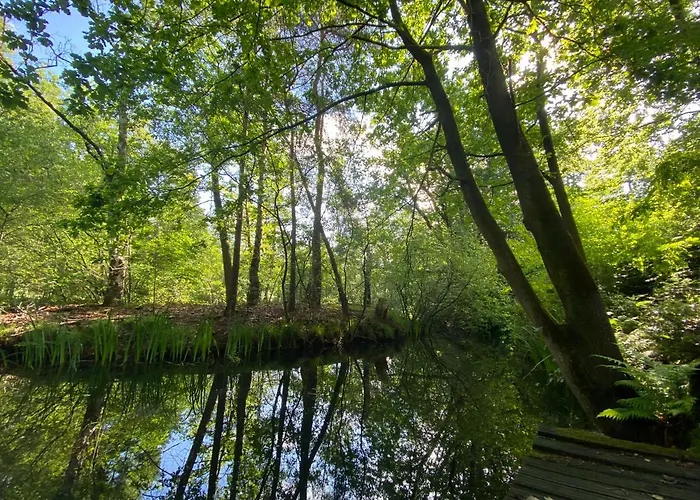 Sjieke Gezellige In Het Bos 别墅 Lieshout