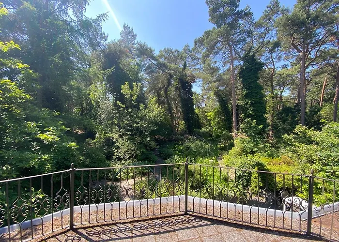 Sjieke Gezellige In Het Bos *