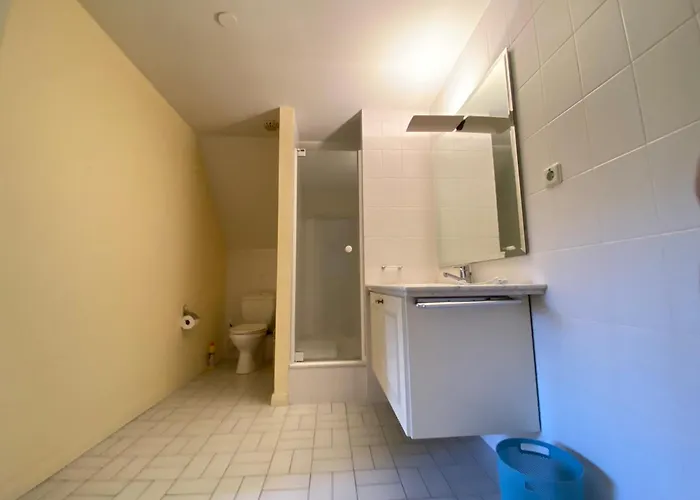 Sjieke Gezellige In Het Bos *